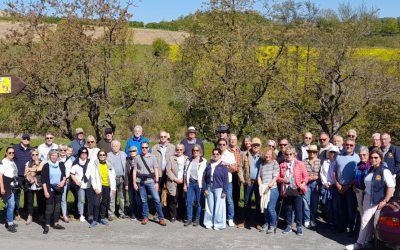 Lions wandern für die Umwelt